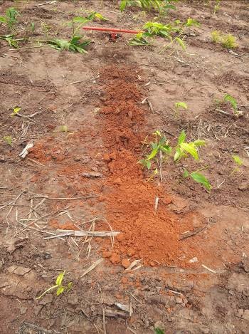 Ground analysis